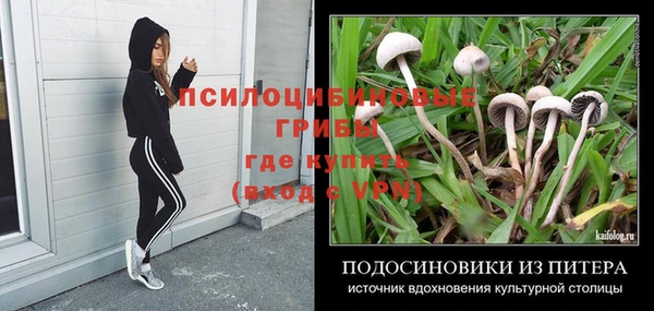 стаф Мегион