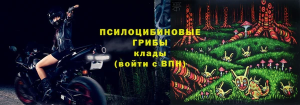 эйфоретик Медвежьегорск