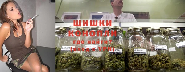 стаф Мегион
