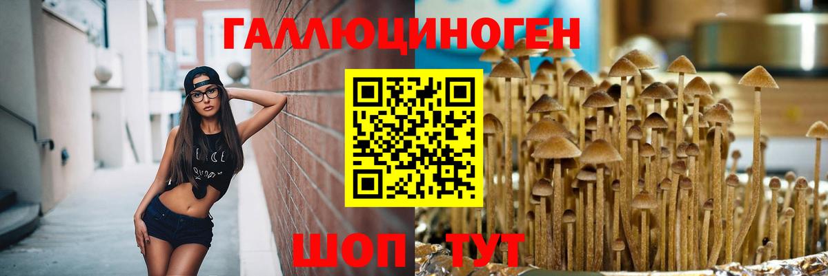 Галлюциногенные грибы Cubensis Мариинск